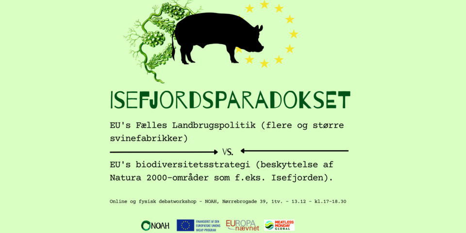 Svinefabrikker, forurening og biodiversitet: Er EU’s politikker modstridende? Isefjordsparadokset