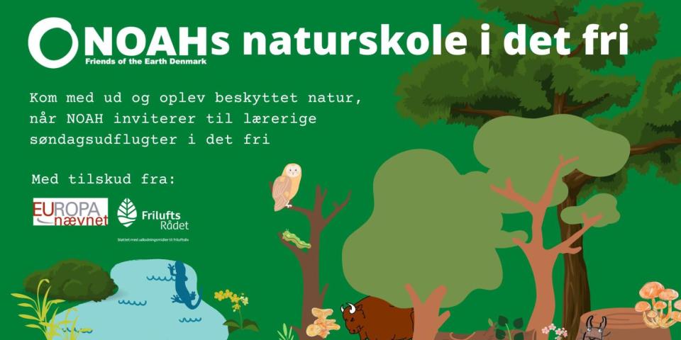 NATURSKOLEN Billede der illustrerer naturskolen