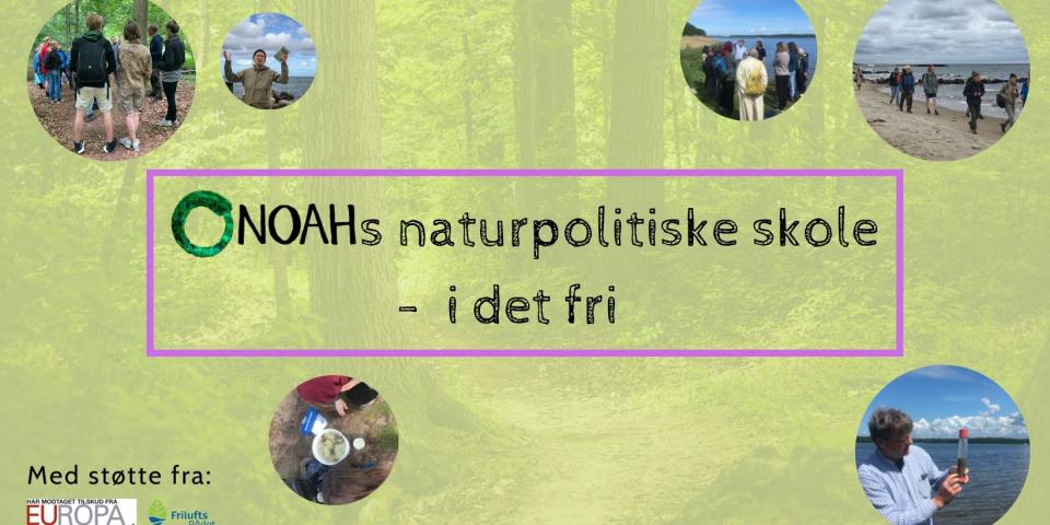 Naturskolen Billede af naturskolen